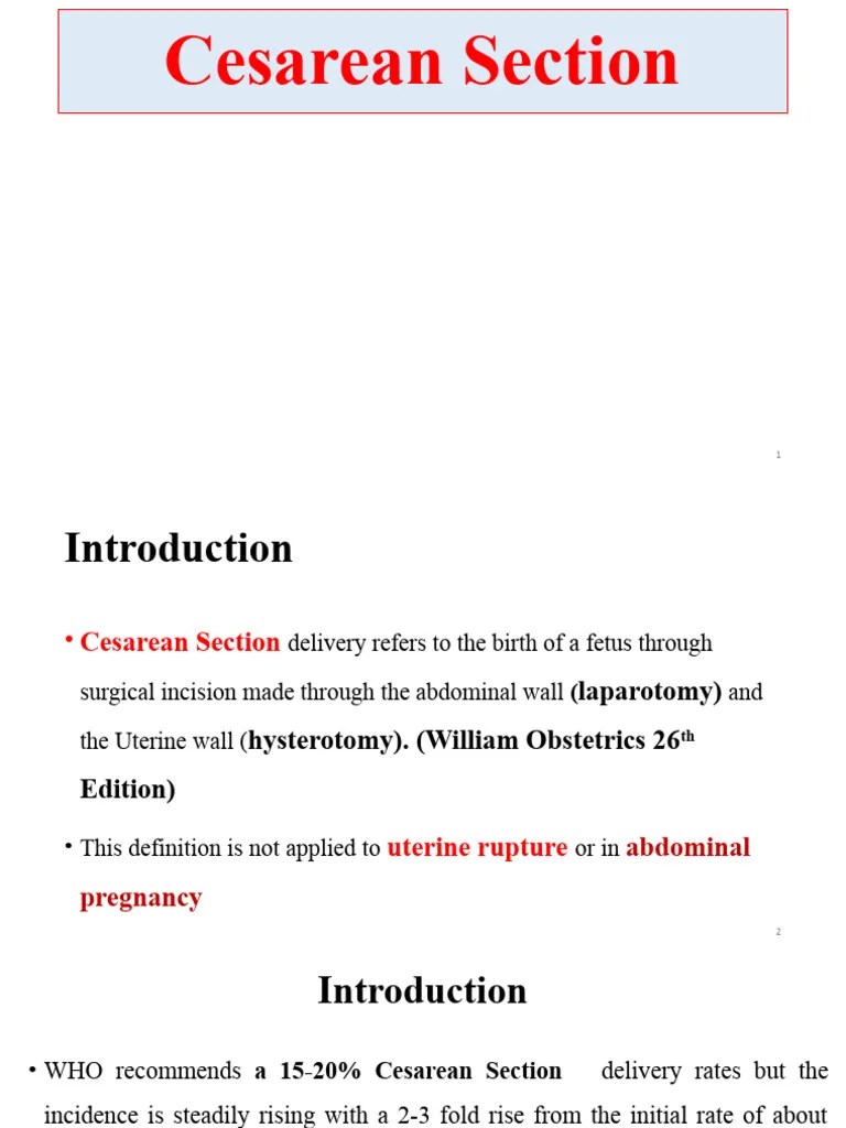 CESAREAN SECTION Bms | PDF | Caesarean Section | Childbirth