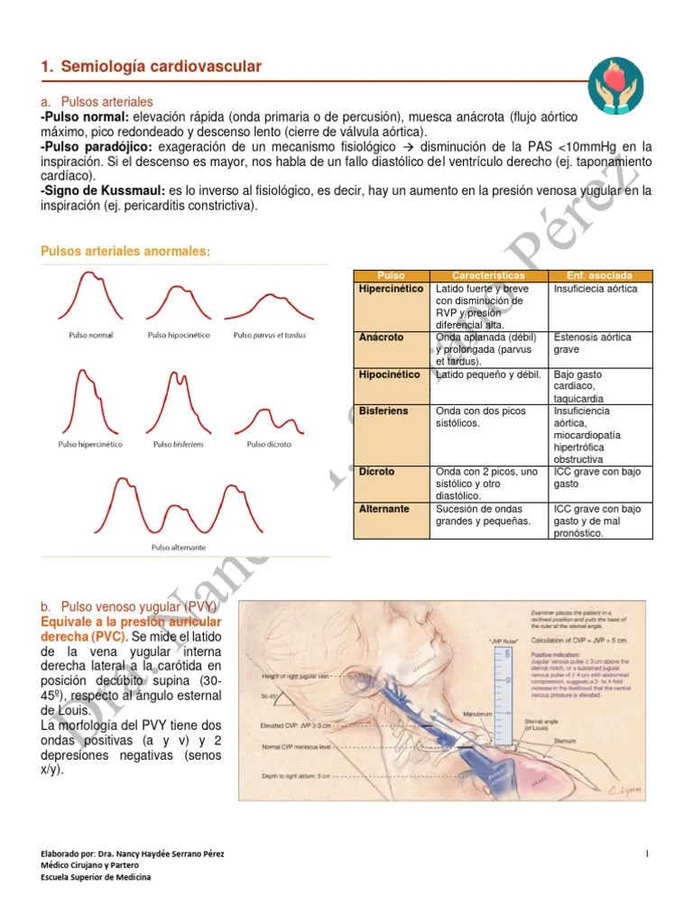 1. Semiología Cardiovascular | PDF | Sistema Cardiovascular | Corazón