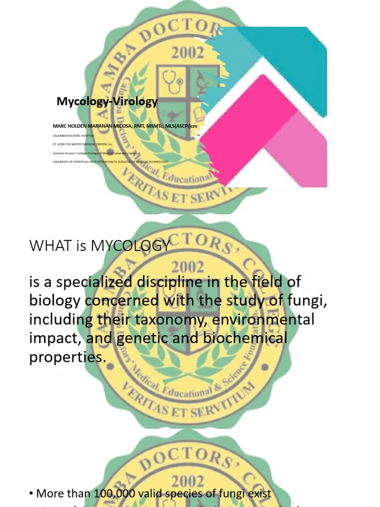 Mycology Part 1 | PDF | Fungus | Mycology