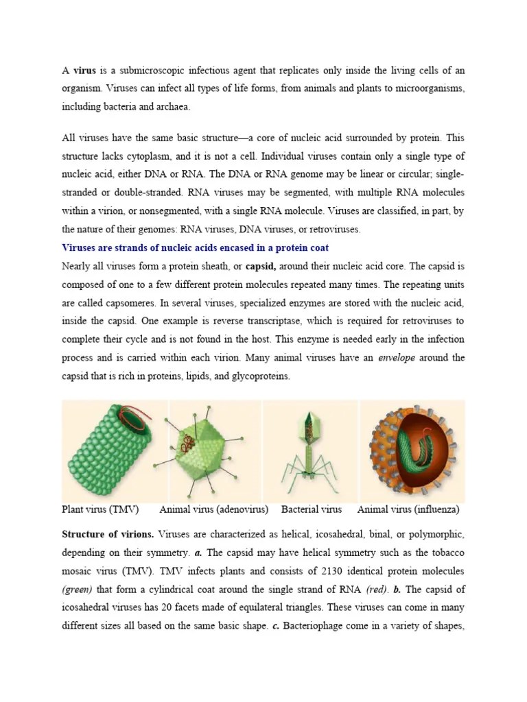 Virus | PDF | Virus | Retrovirus