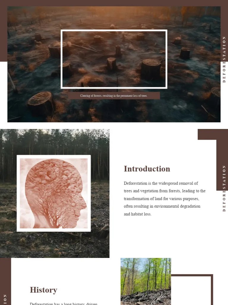 703588-Deforestation PowerPoint Templates | PDF | Deforestation | Logging