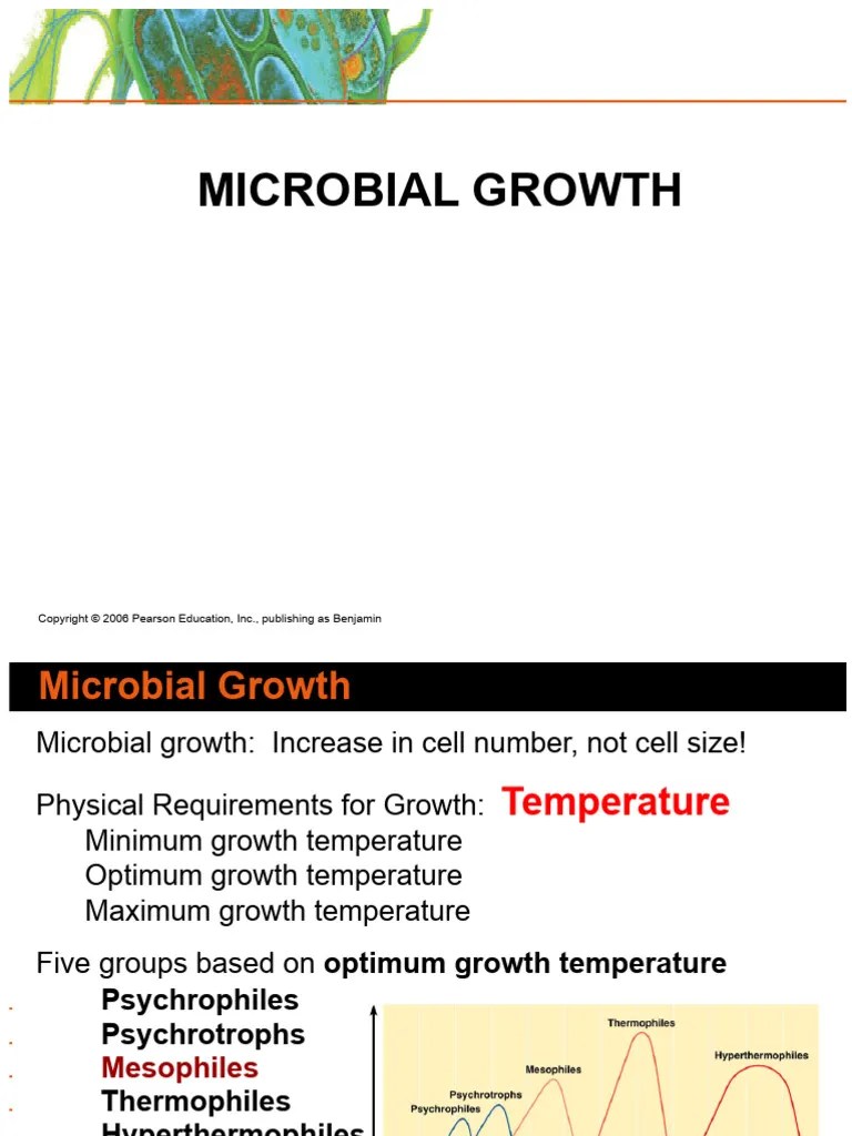 4 - Microbial Growth | PDF | Growth Medium | Bacteria