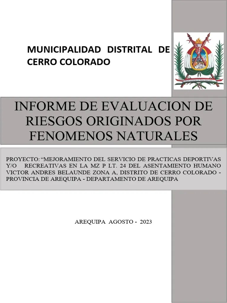 Estudio De Vulnerabilidad | PDF