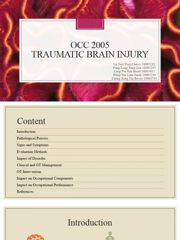 OCC2005 - Traumatic Brain Injury | PDF | Traumatic Brain Injury | Perception