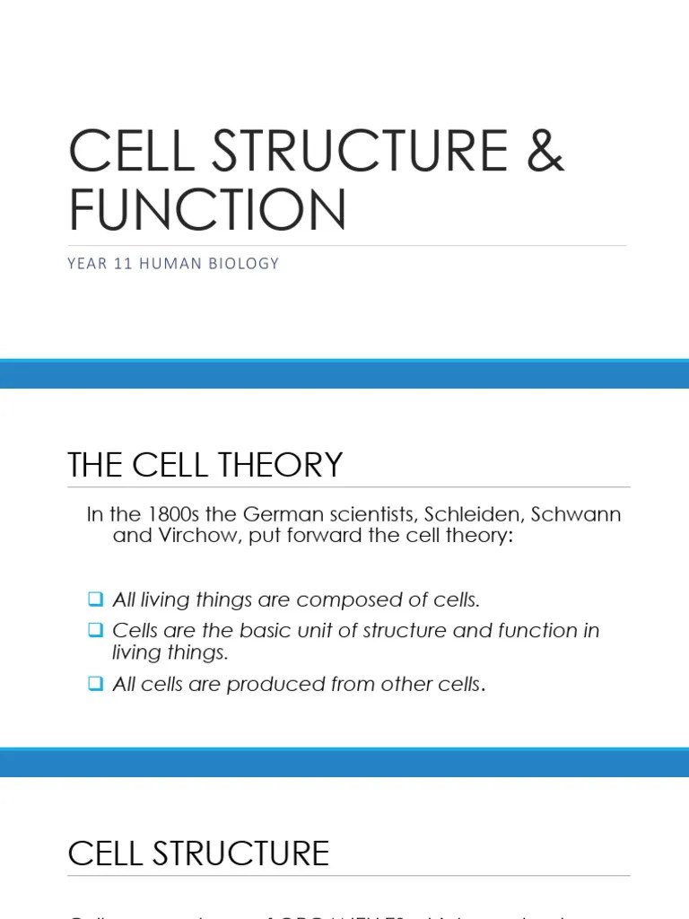 Cell Structure And Function | PDF | Cell (Biology) | Endoplasmic Reticulum
