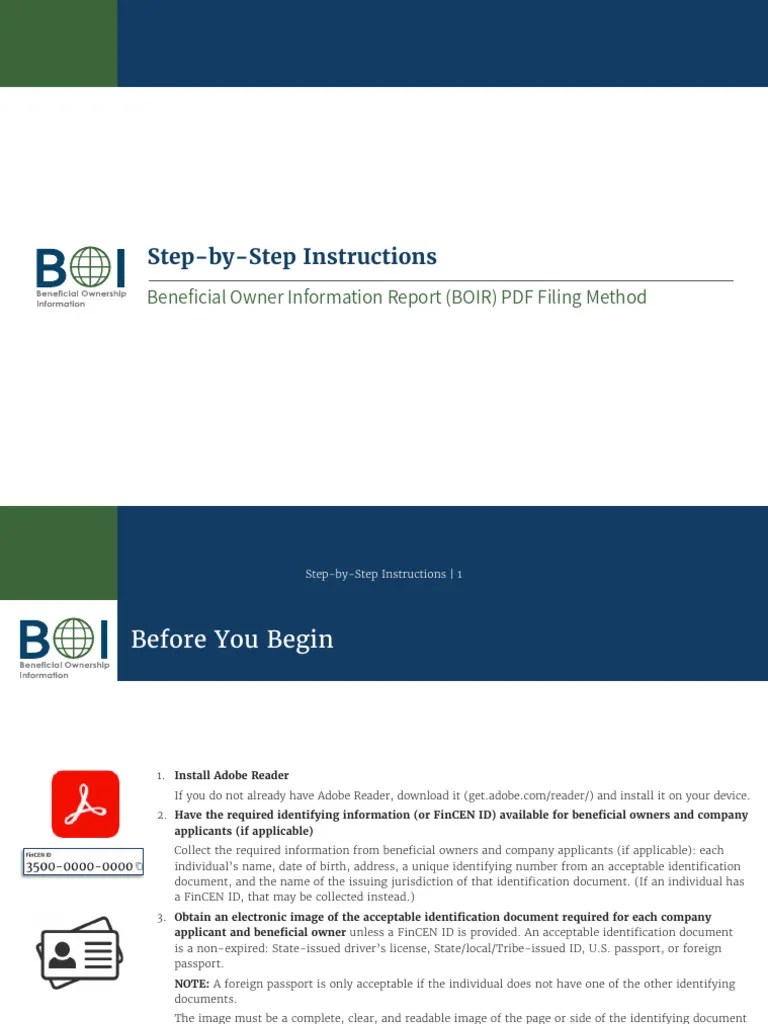 BOIR E-File PDF Step-by-Step Instructions | PDF | Computer File | Directory (Computing)