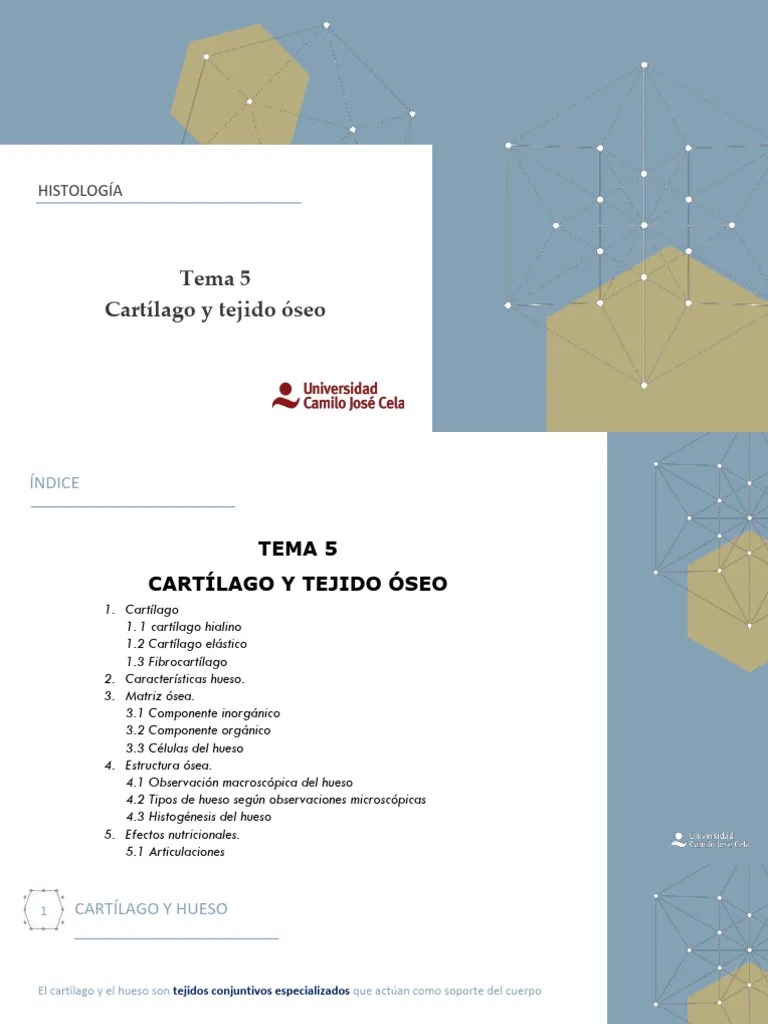 Tema 5 - Parte 1 - VT2.pdf Cartilago Y Hueso Histologi | PDF | Cartílago | La Matriz Extracelular