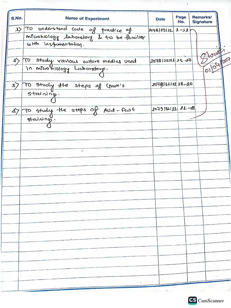 1st Year Microbiology Practical | PDF