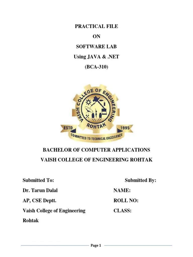 BCA JAVA & .NET Practical File | PDF | Computer Program | Programming