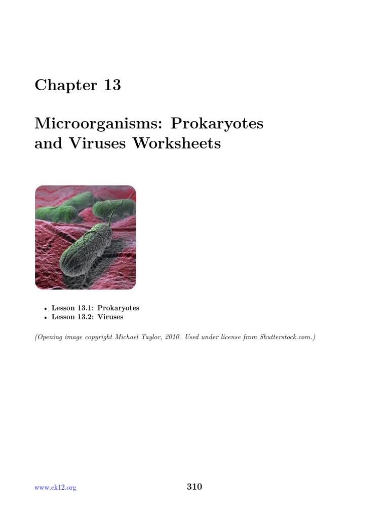 Ck 12 Biology Chapter 13 Worksheets Pdf Virus Bacteria