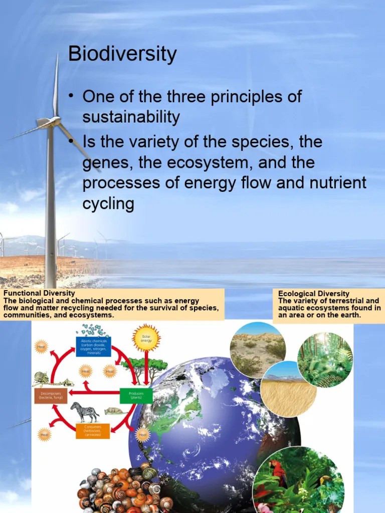 3-Biodiversity Ecosystem | PDF | Biodiversity | Genetics