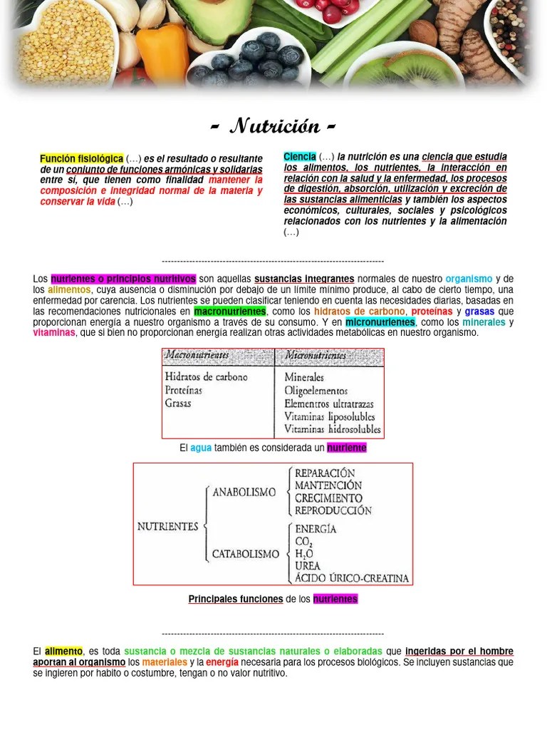 Clase - 1 - Compressed | PDF | Nutrición | Dieta Y Nutrición
