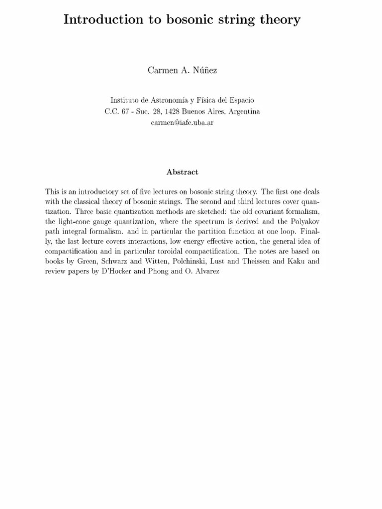 Bosonic String Theory | Download Free PDF | Gauge Theory | String Theory