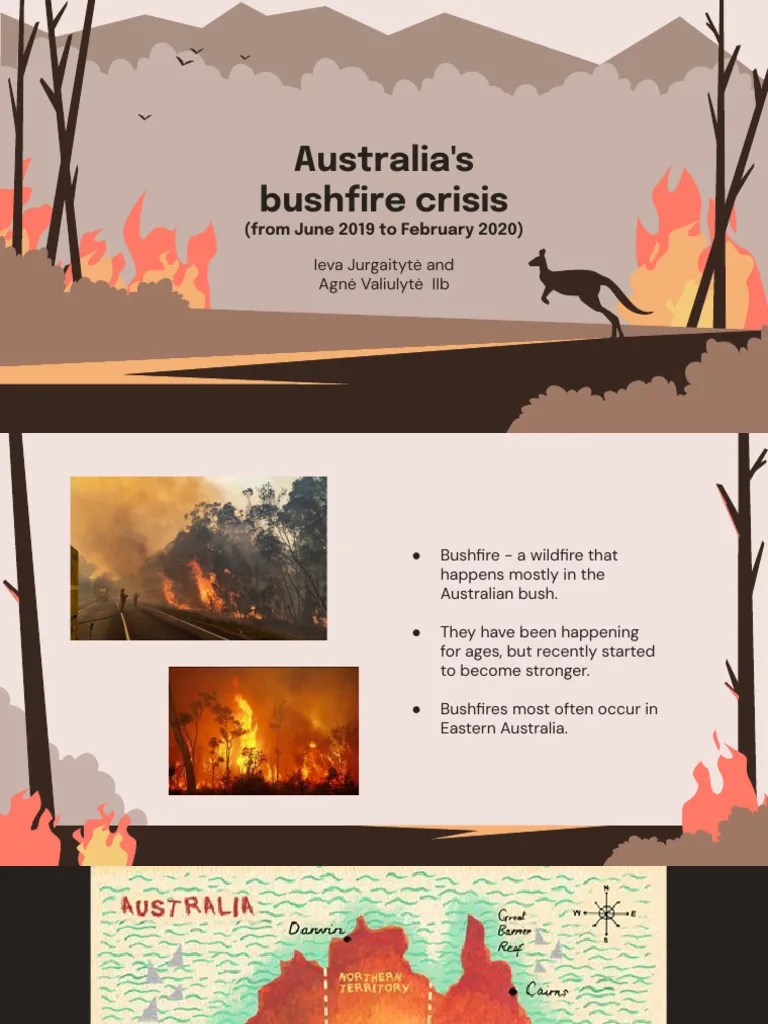 Australia’s Bushfire Crisis | PDF