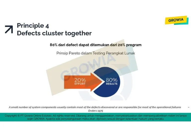 2.1.principles Of Testing-1-10-6 | PDF