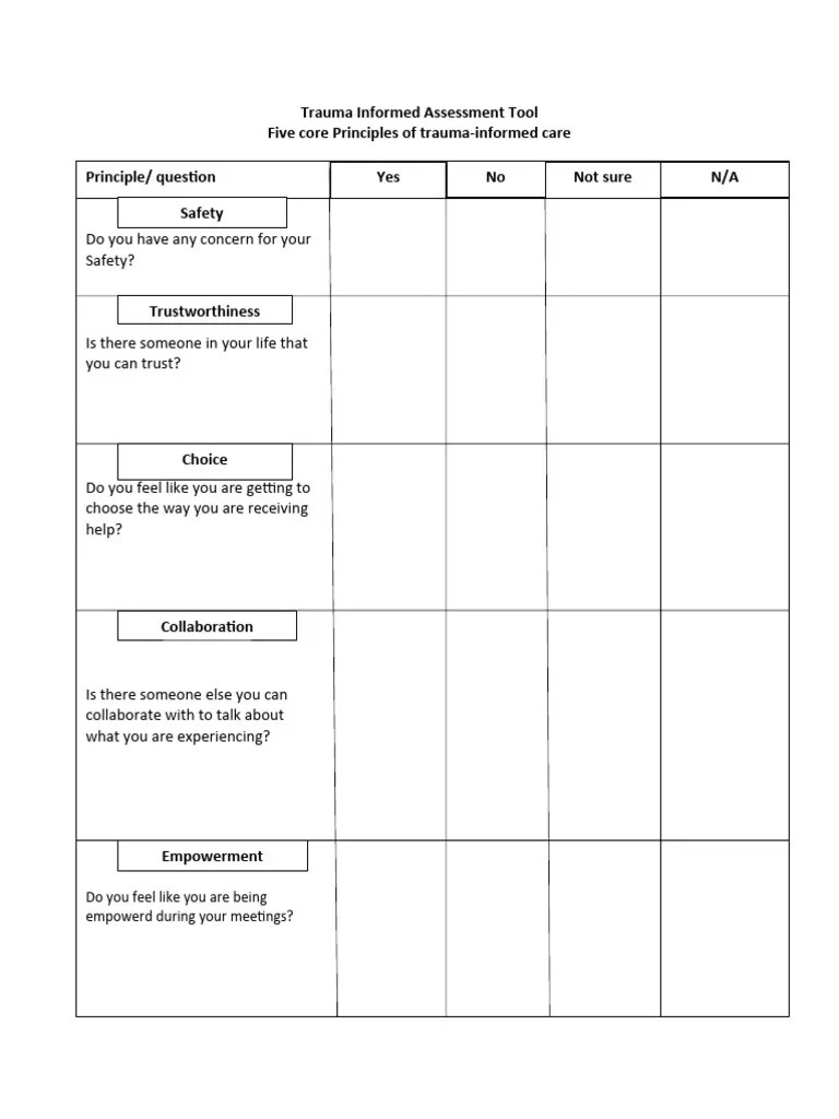 Trauma Informed Assessment Tool | PDF