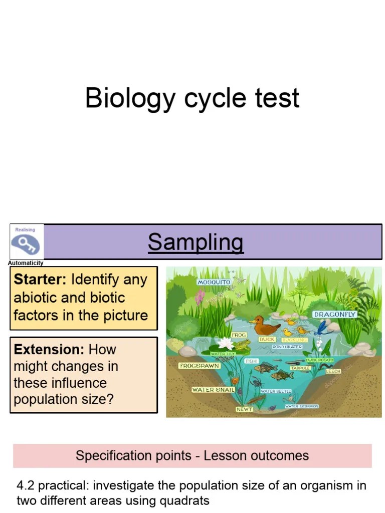 Sampling | PDF | Sampling (Statistics) | Ecosystem
