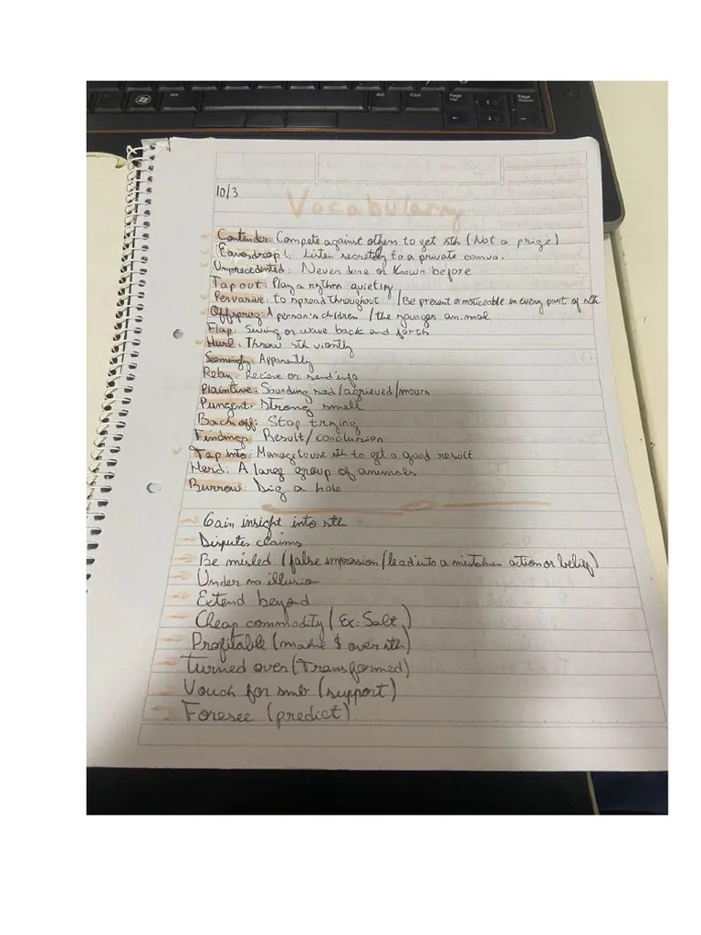 Vocabulary Advanced | PDF