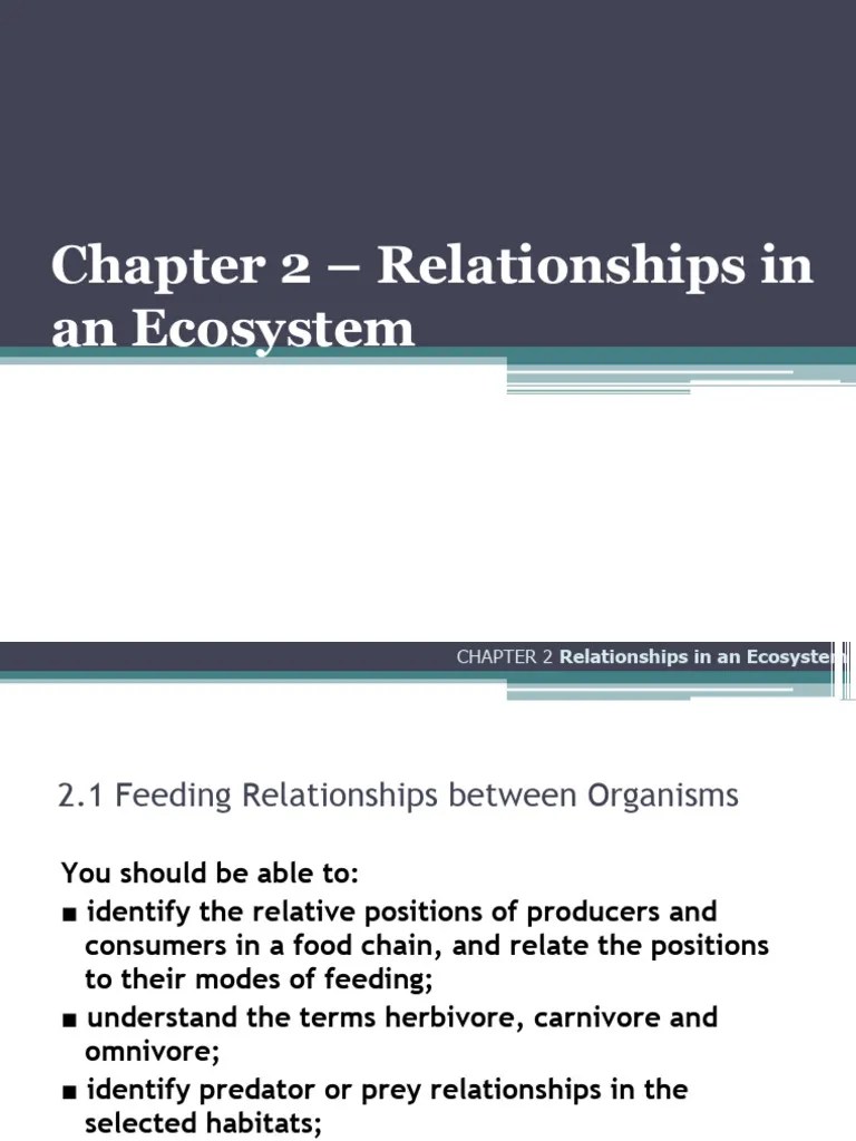 Chapter 02 - Relationships In An Ecosystem | PDF | Food Web | Ecosystem