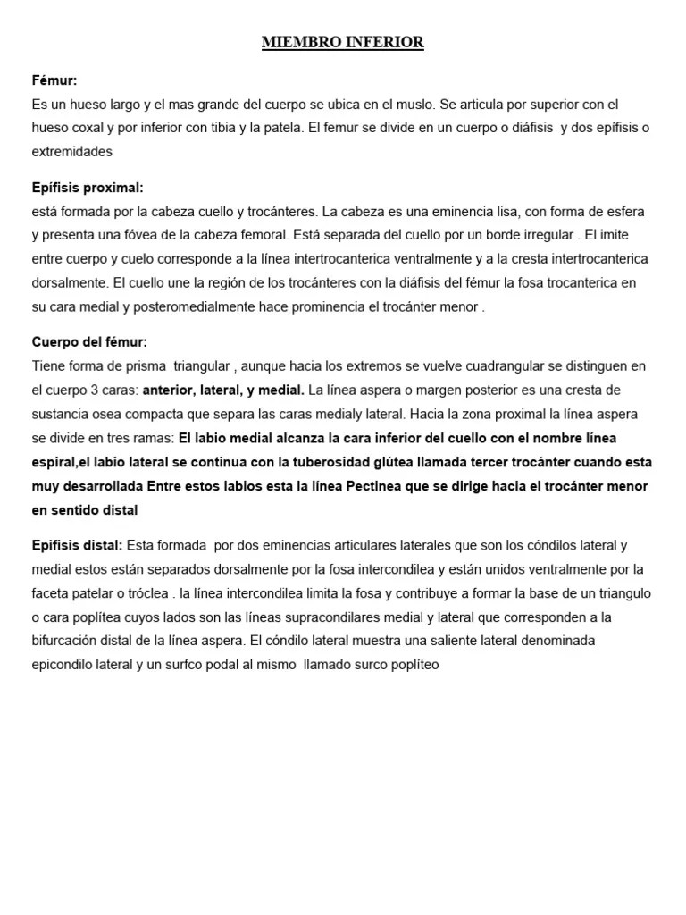 Miembro Inferior | PDF | Extremidades (anatomía) | Sistema Esquelético