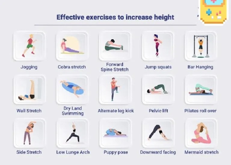 Height Increase | PDF
