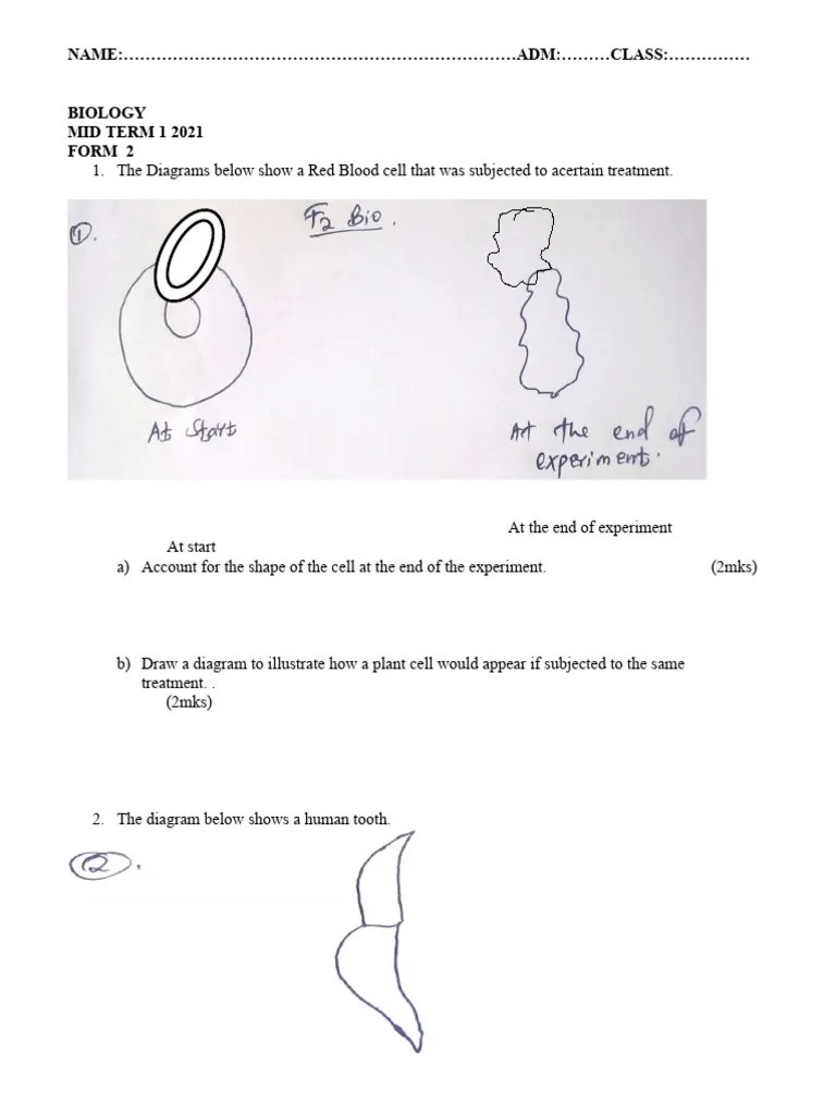 Set2 Bio MidTerm 1 2021 Teacher - Co .Ke F2 Exam | PDF | Blood | Plants