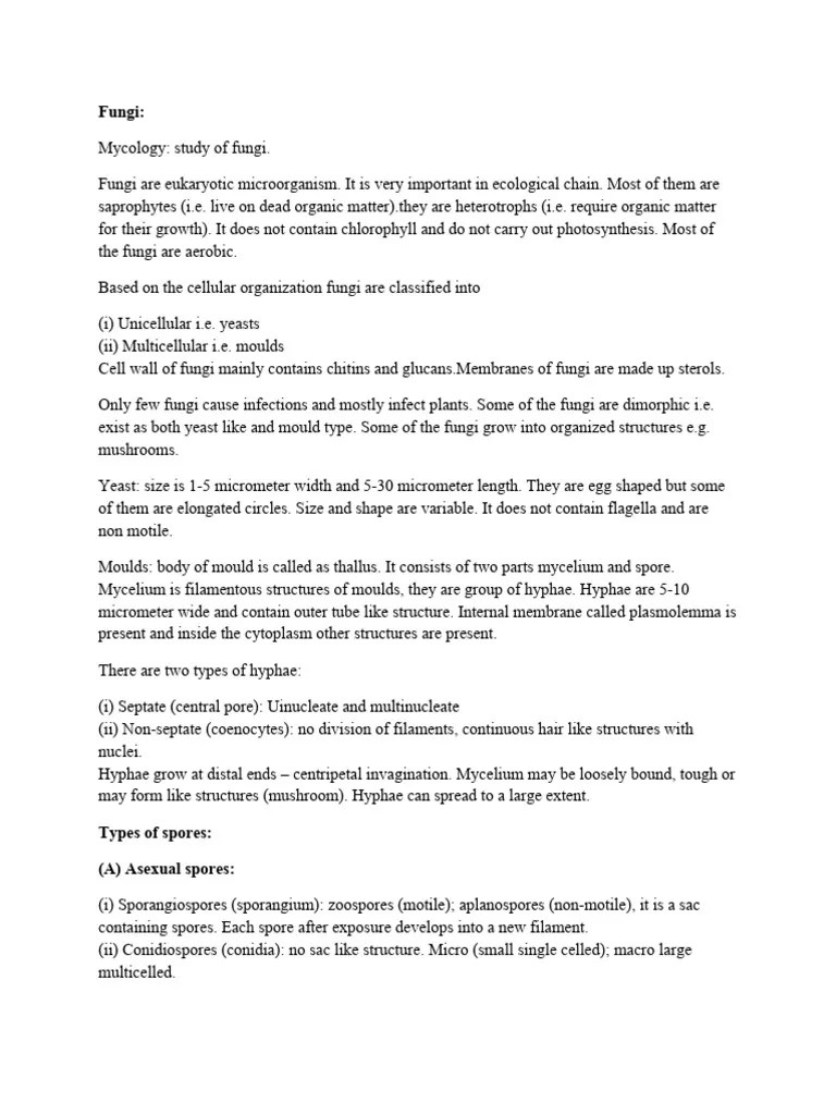 Fungi | PDF | Fungus | Spore