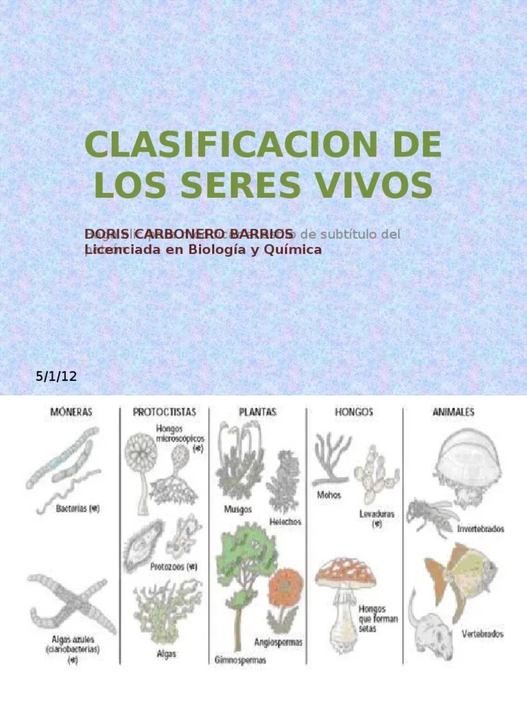 Clasificacion De Los Seres Vivos | PDF | Hongo | Plantas