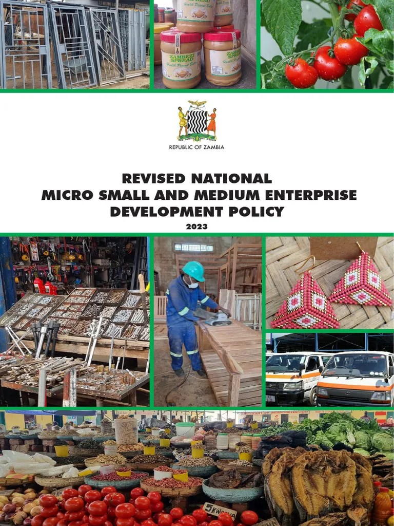 2023 Msme Policy For Msmed | PDF | Small And Medium Sized Enterprises | Entrepreneurship