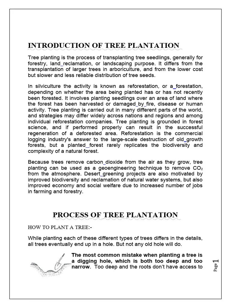 Tree Plantation Project | PDF | Trees | Soil