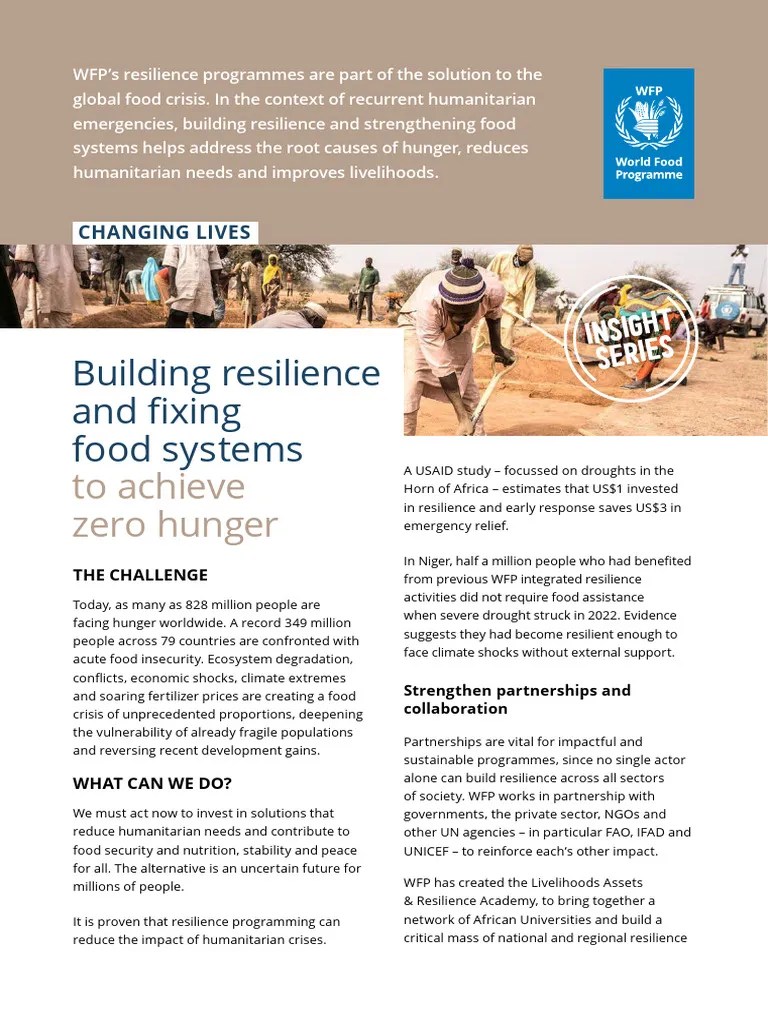 Building Resilience And Food Systems | Download Free PDF | World Food Programme | Food Security