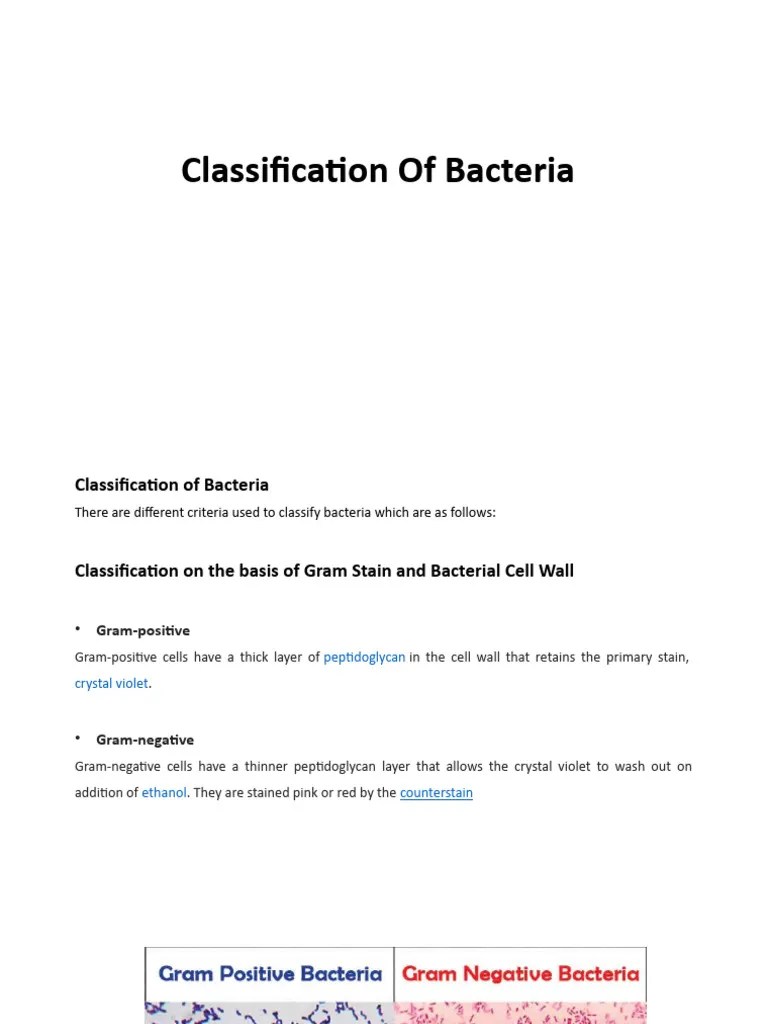 Microbiology Lecture | PDF | Bacteria | Growth Medium
