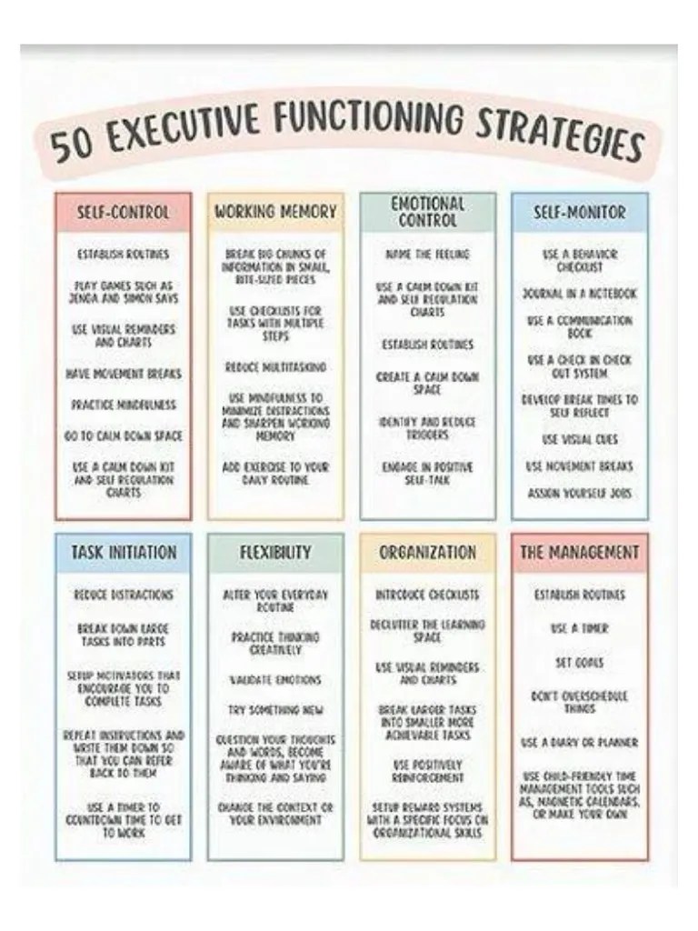 50 Executive Function Strategies | PDF