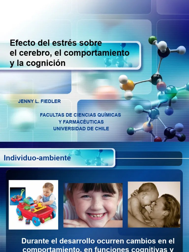 Copia De Efecto Del Estres | PDF | Glándula Suprarrenal | Estrés (biología)