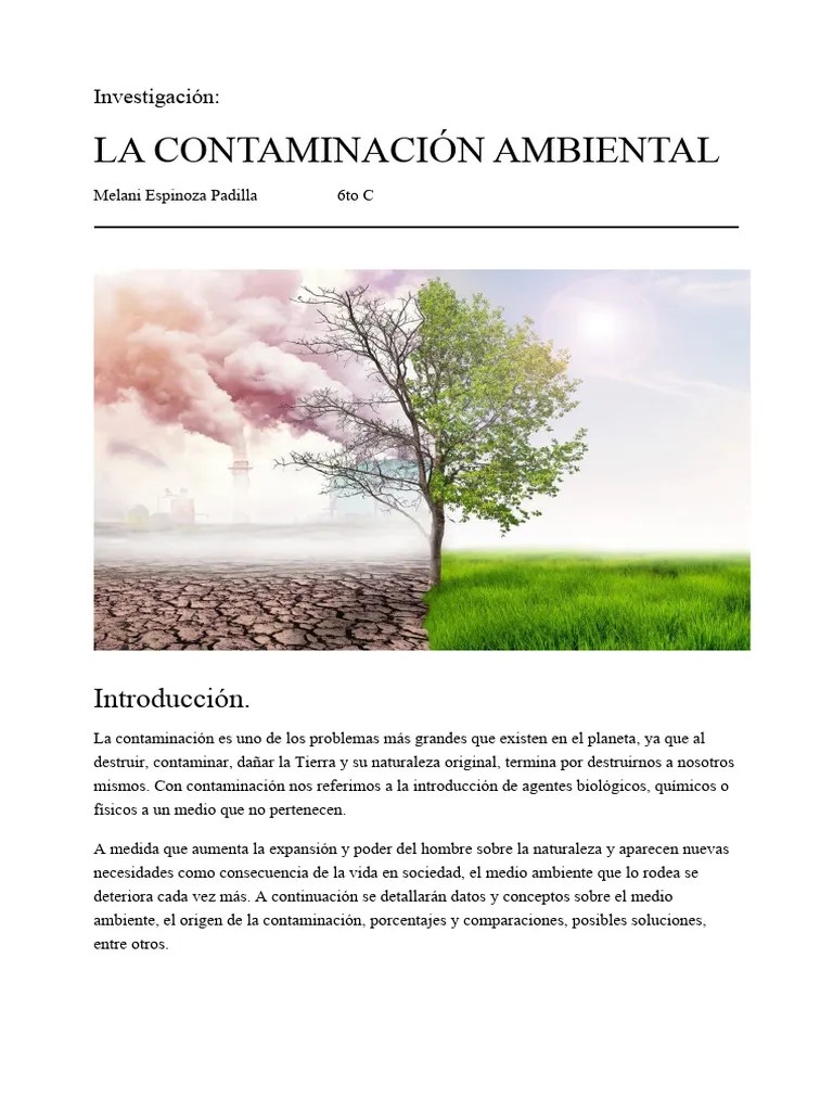Contaminación Ambiental - PDF | PDF | Contaminación | Entorno Natural