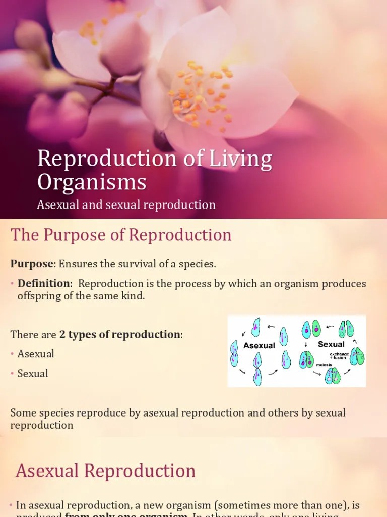 Reproduction Of Living Organisms Asexual And Sexual Reproduction | PDF ...