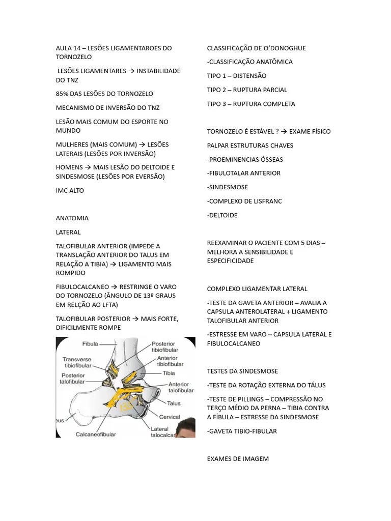 AULA 14 – LESÕES LIGAMENTAROES DO TORNOZELO | PDF | Tornozelo | Anatomia