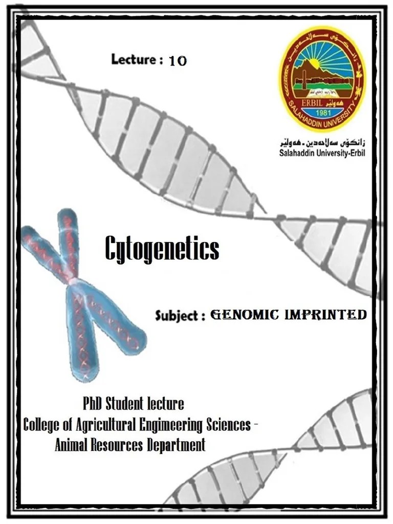 Lecture 10 Imprinting Gene | PDF | Dna Methylation | Epigenetics