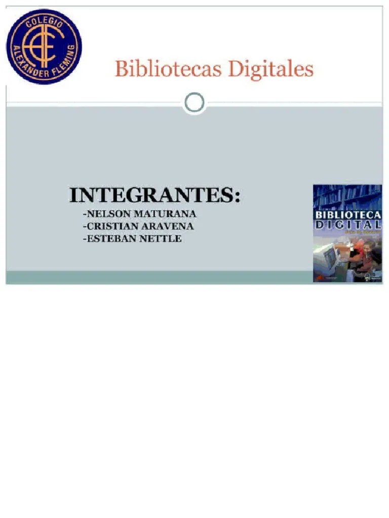 Bibliotecas-digitales | PDF