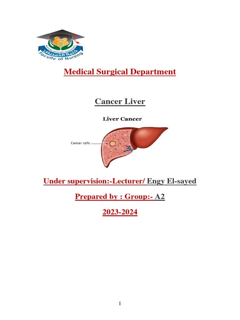 Liver Cancer 1 | PDF | Liver | Hepatitis