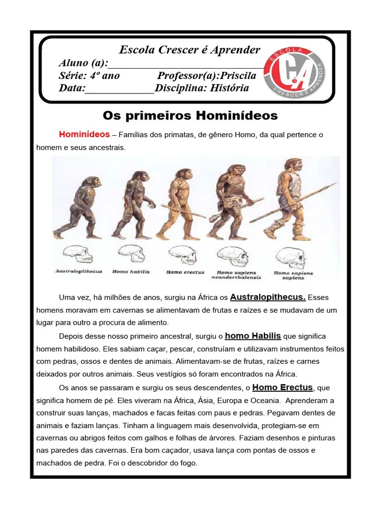 Os Hominídeos 4º Ano | PDF | Homo | Humano