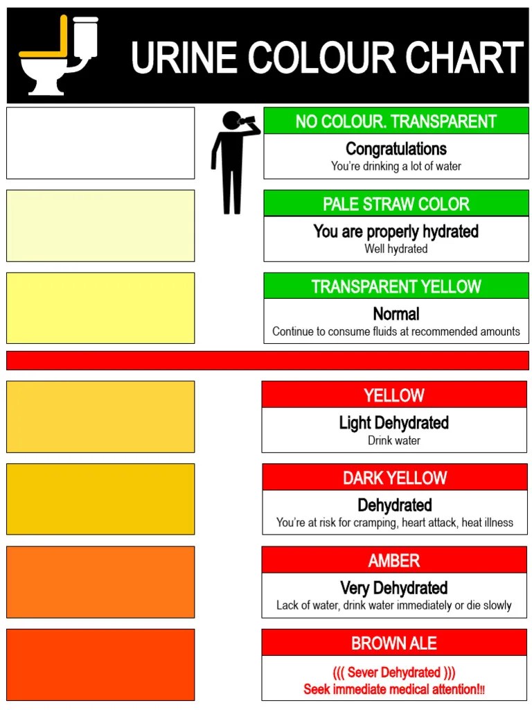 Urine colour chart