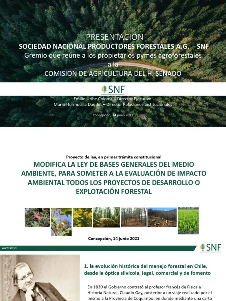 Manejo Forestal Sustentable-1 | PDF | Los Bosques | Sustentabilidad