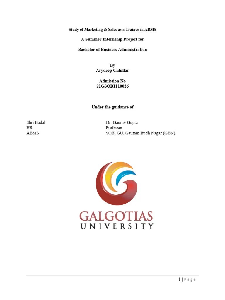 SIP Report PDF | PDF | Sales | Data