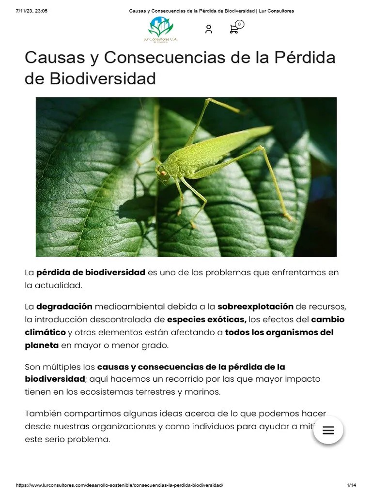 Causas Y Consecuencias De La Pérdida De Biodiversidad _ Lur Consultores ...