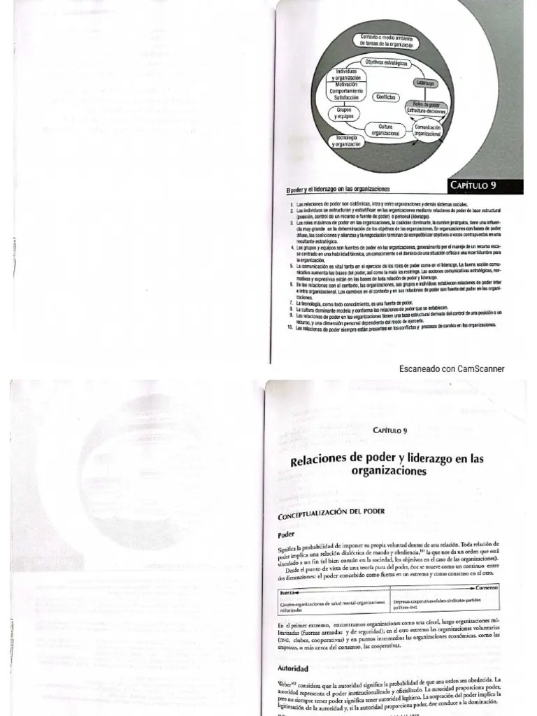 Krieger, M. (2001) - Sociología De Las Organizaciones (Cap 9) | PDF