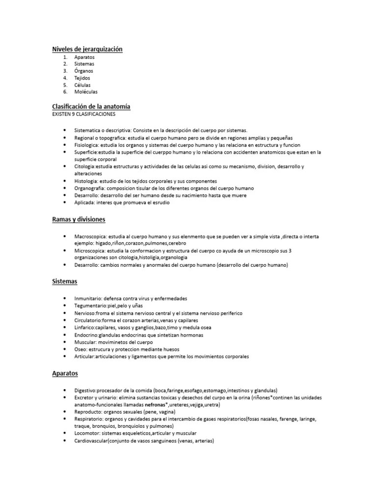 ANATOMIA | Descargar Gratis PDF | Hueso | Anatomía