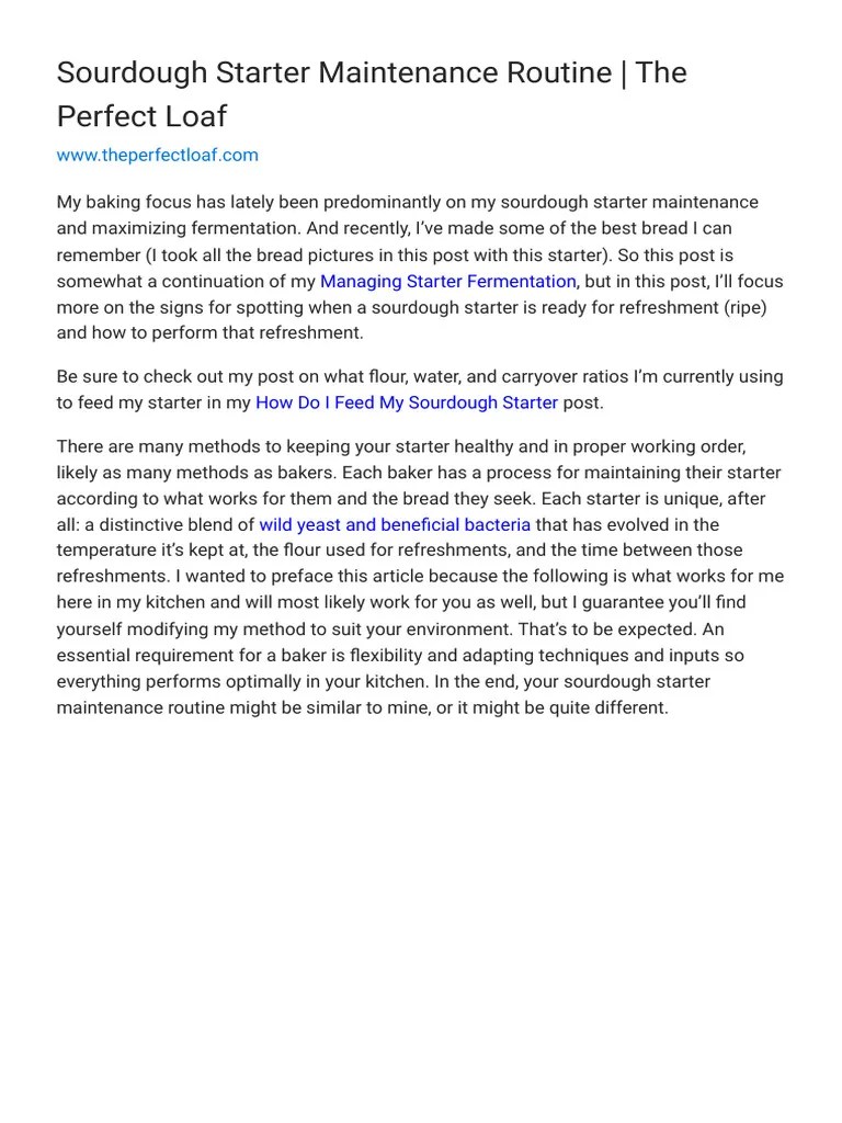 Sourdough Starter Maintenance Routine The Perfect Loaf | PDF ...