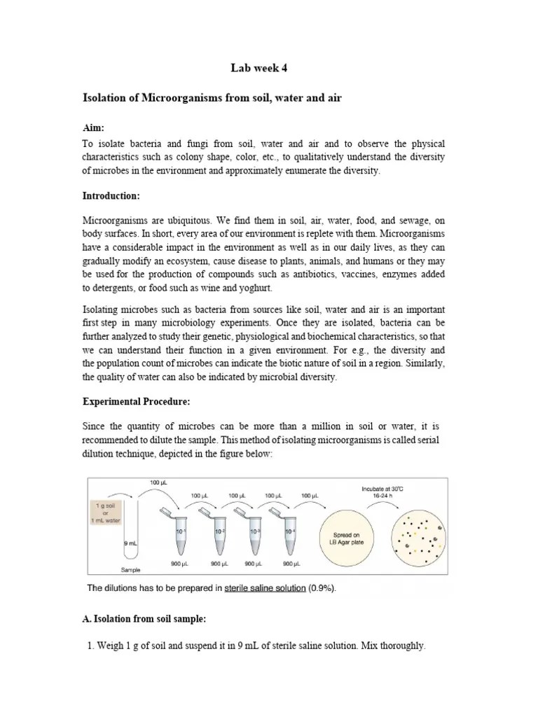 BIO Lab Manual | PDF | Microorganism | Amino Acid