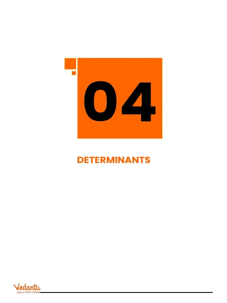 DETERMINANT | PDF | Determinant | Mathematical Concepts